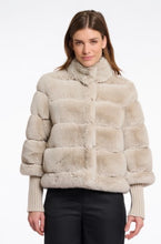 Charger l'image dans la galerie, FELINE.7002512 - BIRCH