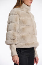 Charger l'image dans la galerie, FELINE.7002512 - BIRCH