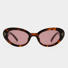 Load image into Gallery viewer, TOOTSIE + - TORT