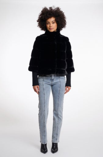 FELINE.7002512 - NOIR